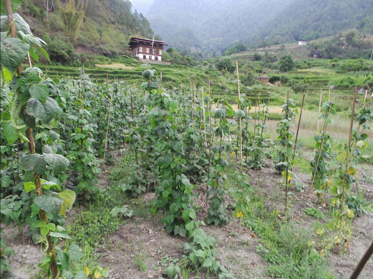 Gantey Hike08
